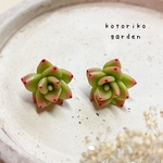 樹脂粘土　多肉植物のピアス