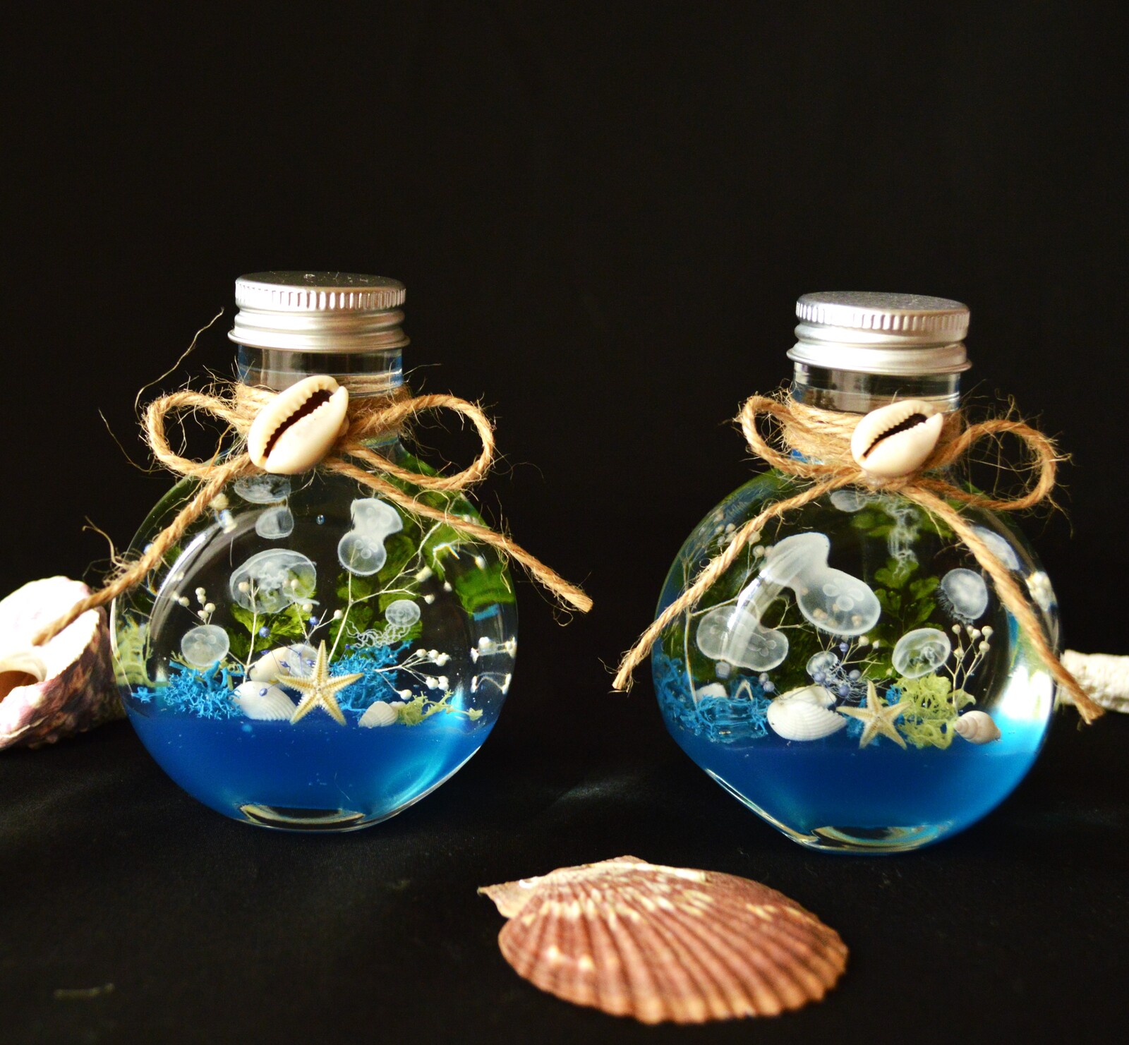 特集掲載！「小さな水族館」クラゲのハーバリウム（100m