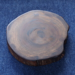 ★行者杉の枝で作った大きなコースター03（年輪150年）12.0cm×10.5㎝