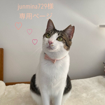 junmina729様専用ページ　猫首輪　ターコイズブルー 