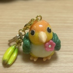 シロハラインコ チャーム