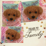 犬 わんこ羊毛フエルトストラップ