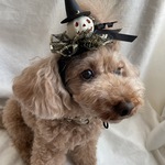 とんがり帽パンプキン 🎃カチューシャ(白)