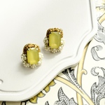 Gypsophila  Yellow ･･･イエロービジューとホワイトフラワー･･･【№2403】