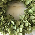 秋色紫陽花アナベル   リース