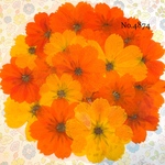 ♡new♡作家様必見♡ 可愛いコスモスお花がいっぱい♡ 押し花セット