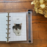 【ミニ６】ペットの健康管理リフィル ▷　グレー　mini６