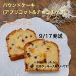 9/17発送焼き菓子詰め合わせ【2024年9月】