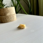 チワワ茶白（すやすやチワワ）