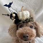 ハロウィン🎃ミニカボチャのカチューシャ(コウモリ🦇付き)