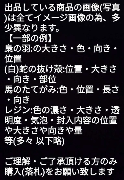 龍体文字✨むく✨サムハラ✨神代文字✨カタカムナ✨神字✨1億円種札
