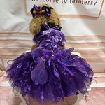 セット品🎃バイオレットカラーのフェザードレス＆かぼちゃのおリボン🎃2点セット