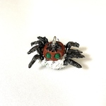 ハエトリグモ(jumping spider)のストラップ④