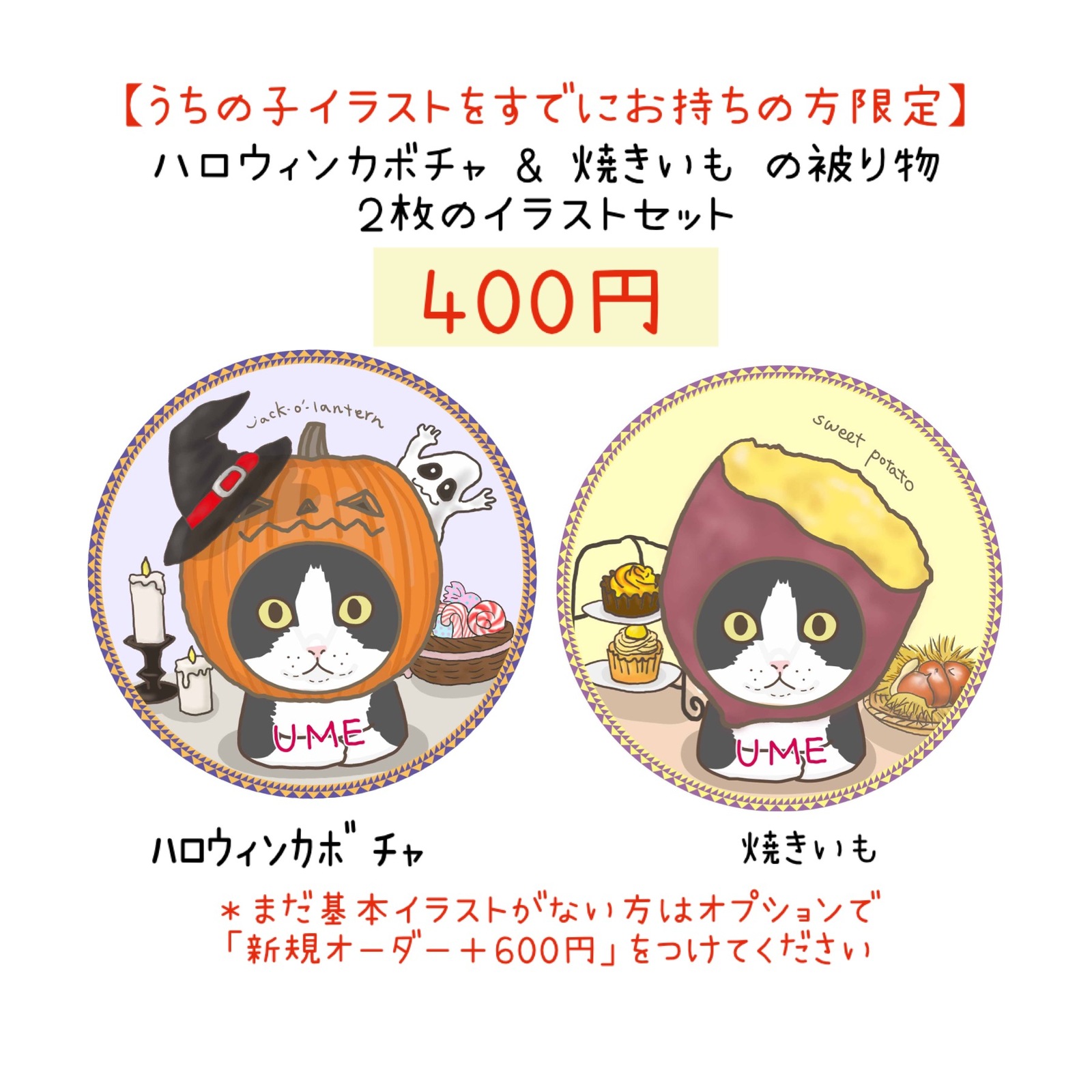 フォロワー様限定300円世界に1つだけのウチの猫のハンドメイド