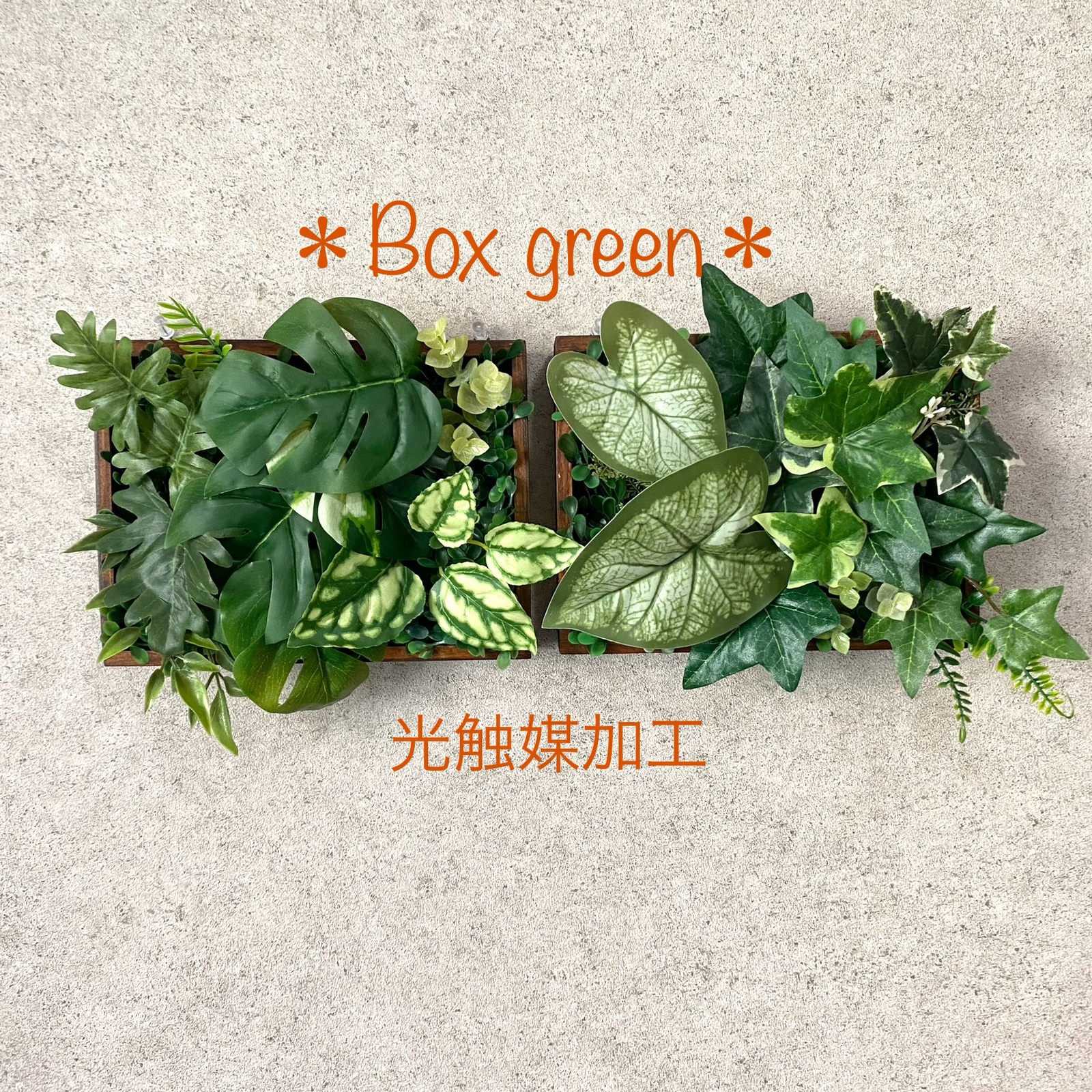 光触媒加工］☆flame green［M ホワイト102］☆フェイクグリーン壁掛け 