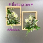 ［光触媒加工］★flame green［Mナチュラルブラウン102］ホワイトスパイダーフラワー★ウォールグリーン壁掛け　フェイクグリーンインテリア
