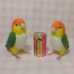 tooty 様専用販売ページ　☆シロハラインコ mini♪☆足付タイプ(付属金具無し） 羊毛フェルト 