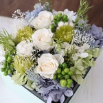 " natural wind " flower box