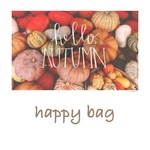 秋デザイン♡ピアス♡６点入♡happy bag 2024 
