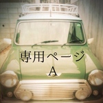 専用ページA