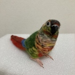 ※専用ページです※ranrit様のワキコガネウロコインコちゃんです。羊毛フェルト♪