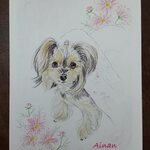 【tiny様オーダー品】愛犬イラスト