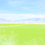 はがき 田舎風景