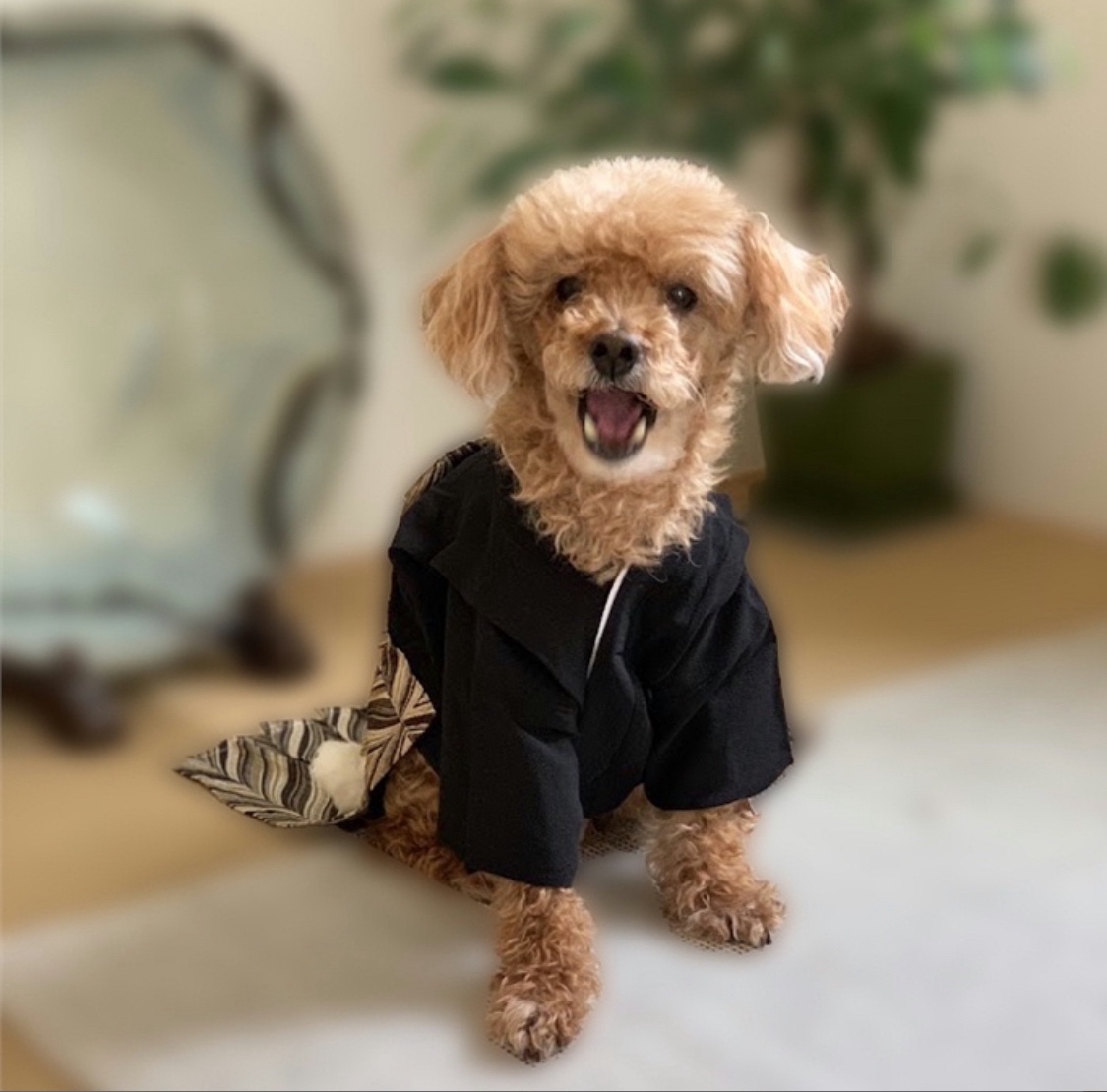 犬服ハンドメイドUuu♡文化人形柄正絹晴れ着 ハンドメイド】22センチドール用文化人形風着物ドレスの通販 by