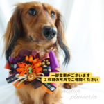 🧡💜🖤定番カラーで華やかハロウィンチョーカー　  ～ワンちゃん ネコちゃん用～  ハロウィン 犬用チョーカー 　秋用チョーカー　オータムチョーカー