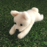 白柴ちゃん「ちょっと休憩」