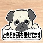 ときどき孫を乗せてます【パグ.ボード】マグネットタイプ/シールタイプ/吸盤タイプ