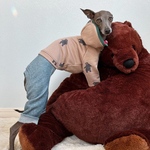 オーダー犬服 グリズリースウェット×ヒッコリーデニム ロンパース