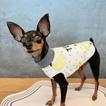 オーダー犬服 ミニ裏毛 完熟バナナ タンクトップ