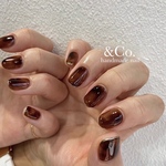 &Co. 高品質ネイルチップ 【もやもやニュアンスべっ甲】