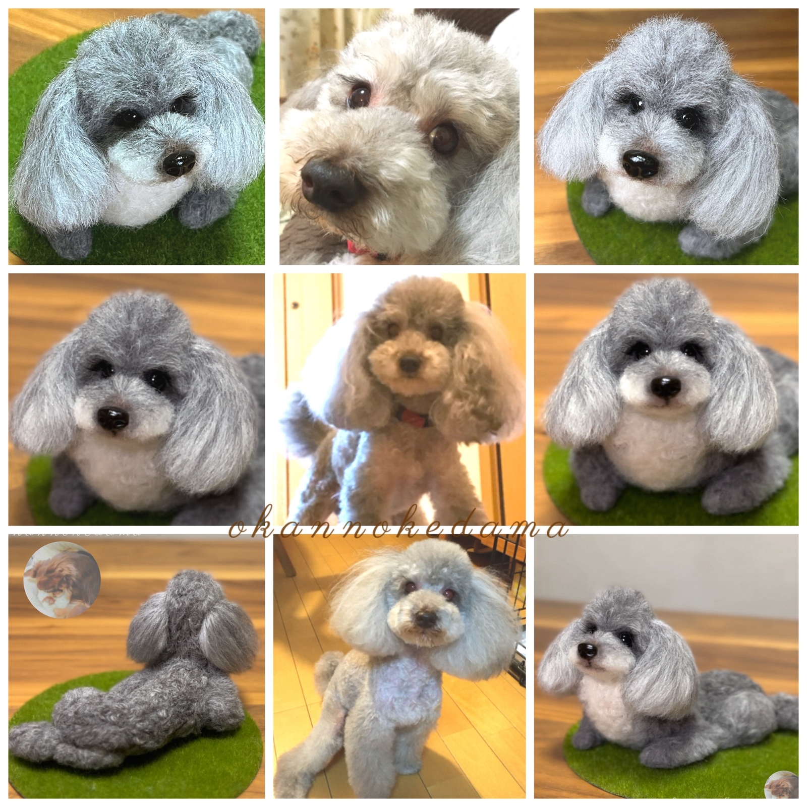 たんぽぽの綿毛⚪️?オーダーメイド　羊毛フェルト　犬　オーダー　ダックス　チワワ シーズー　柴犬　ビーグル　ポメラニアン　フレンチブルドック　トイプードル　コーギー　ヨークシャーテリア