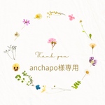 anchapo様専用