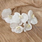 胡蝶蘭ヘッドパーツ　white
