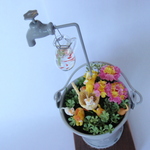 ぷちバケツネコ