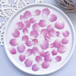  【押し花素材】バラの花びら　ピンク　　pressed flowers