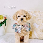 うさぎとキノコのケープ（犬、猫、誕生日、記念日、服、ハロウィン）