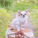 ワッフルチェックのリボン付きCape（リボン2つ付き、つけ襟、ケープ、犬、猫、うさぎ）