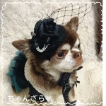 new🕺ブラックローズのトーク帽
