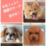 羊毛フェルト 額縁犬オーダー