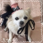 new🕺おリボンハットで淑女気分✨