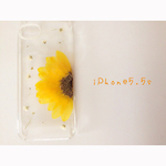 押し花ひまわりiPhoneケース iPhone5、5sケース