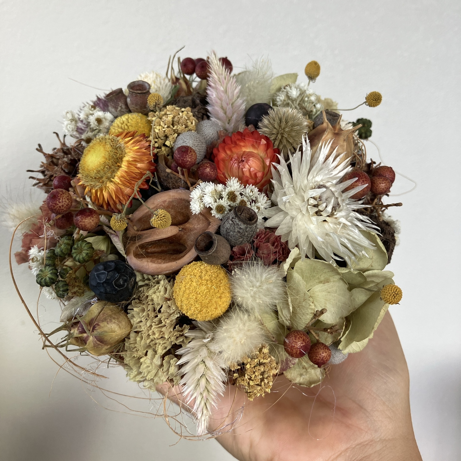 パニカムとケイトウの実ものたっぷりハーフリース シャリンバイ 秋の