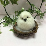 癒やしの小鳥  もふピーちゃん①シマエナガ