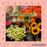 pika022025様専用ページ
