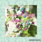 school 441jun様専用ページ