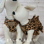 犬猫ハーネス ２点止め　ヒョウ柄　※オプション裾フリル（＋700）
